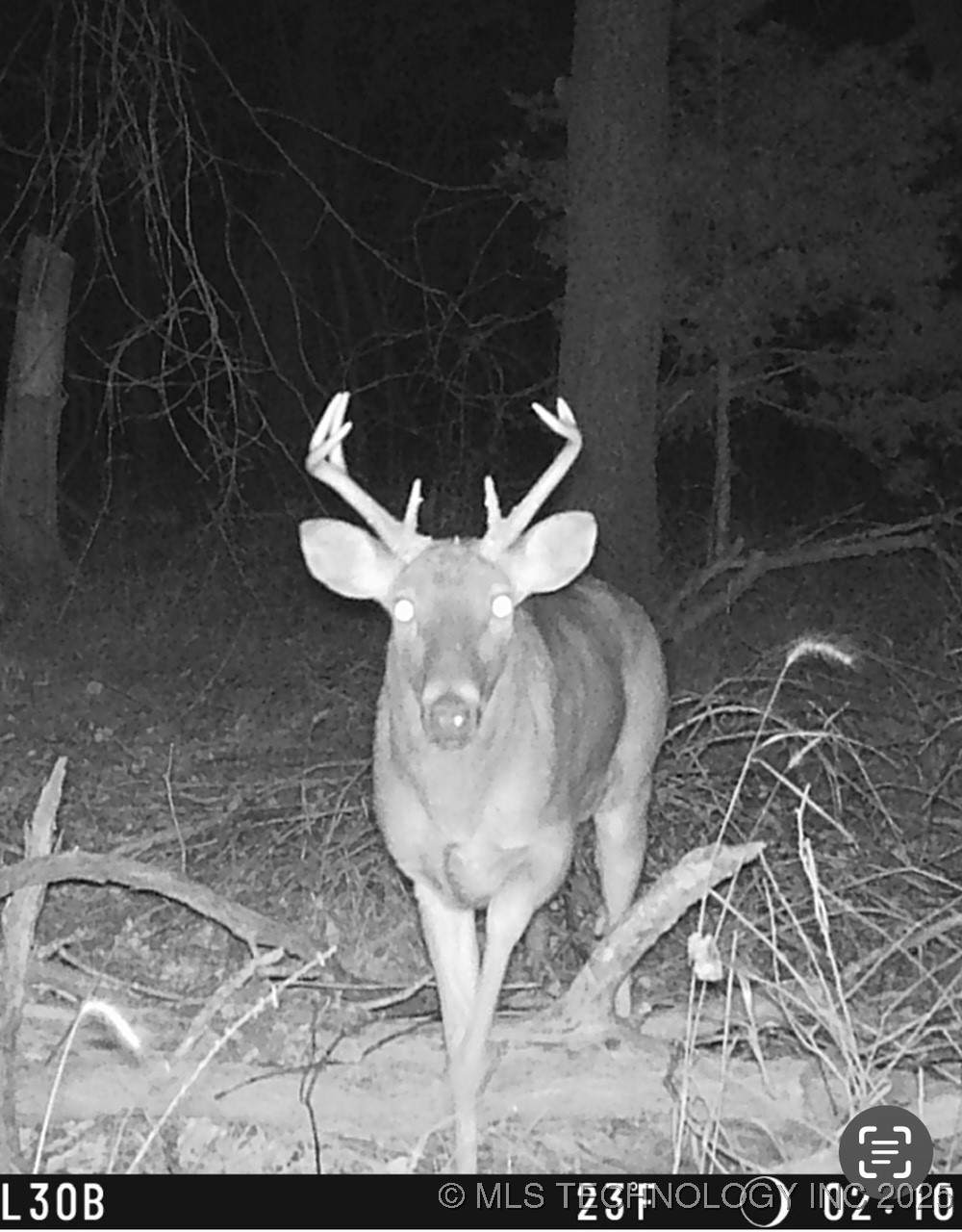  140th Road - Photo 1