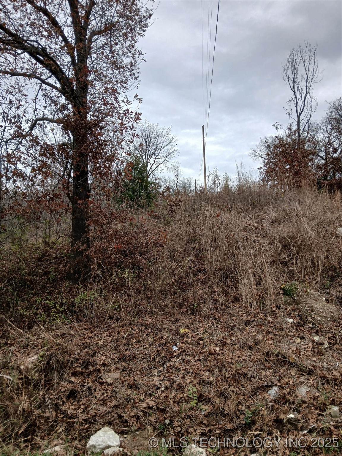  Sahoma Lake Road - Photo 1