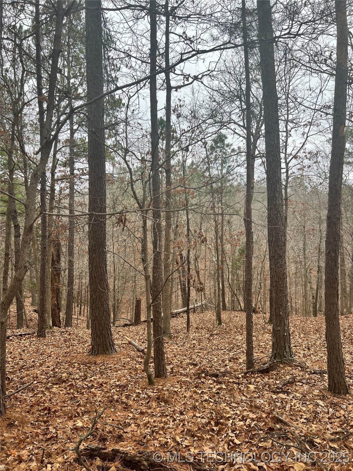  Deer Path Road - Photo 1