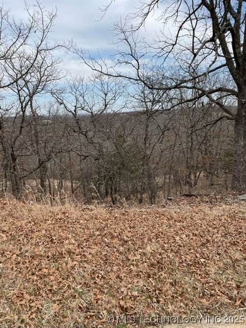  Oakridge Drive - Photo 1