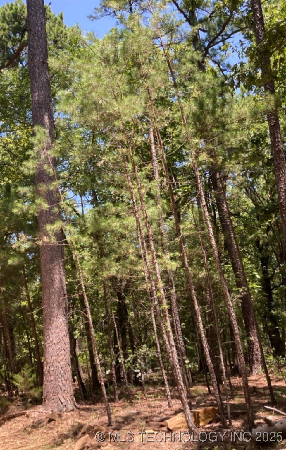  Whispering Pines - Photo 1