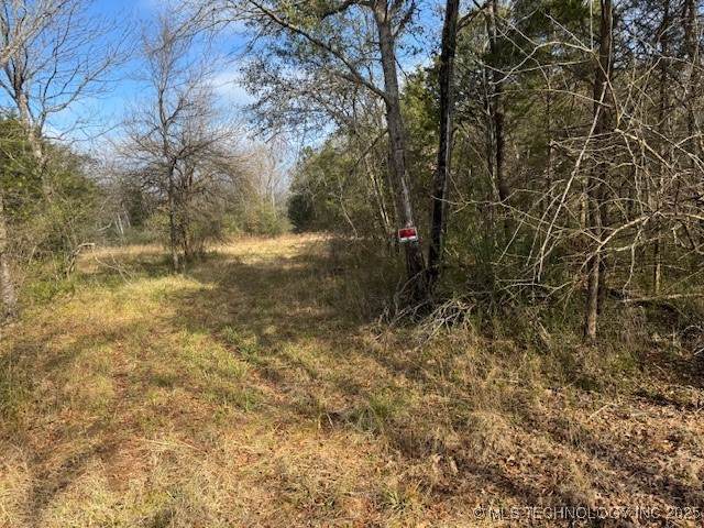  123rd Street - Photo 1