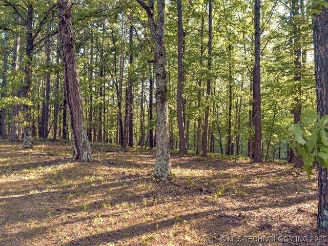 23174 Flint Ridge Drive - Photo 1