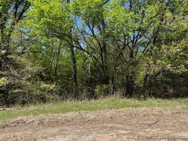  Rhonda Circle - Photo 1