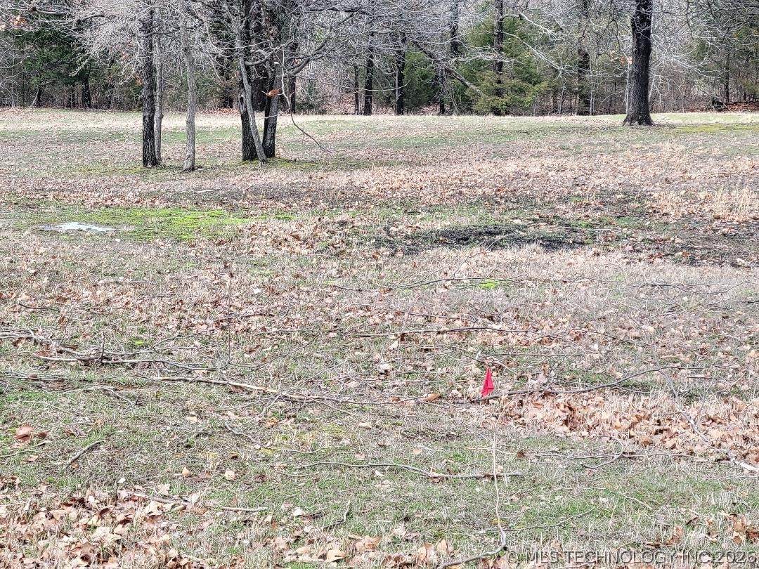  4299 Loop - Photo 1