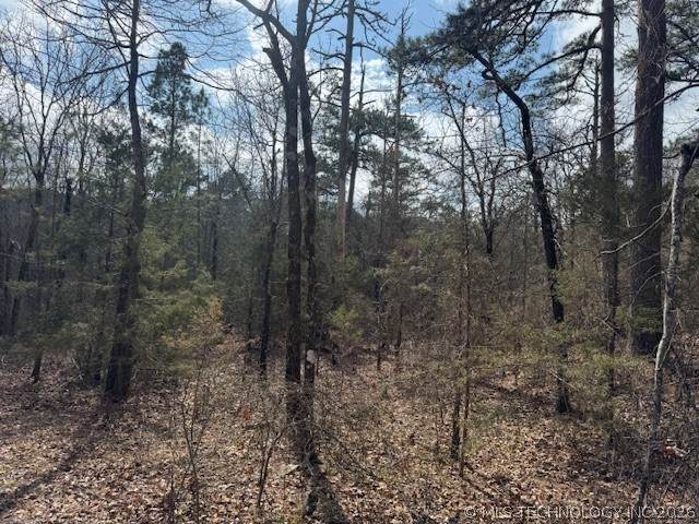  Turkey Creek Road - Photo 1