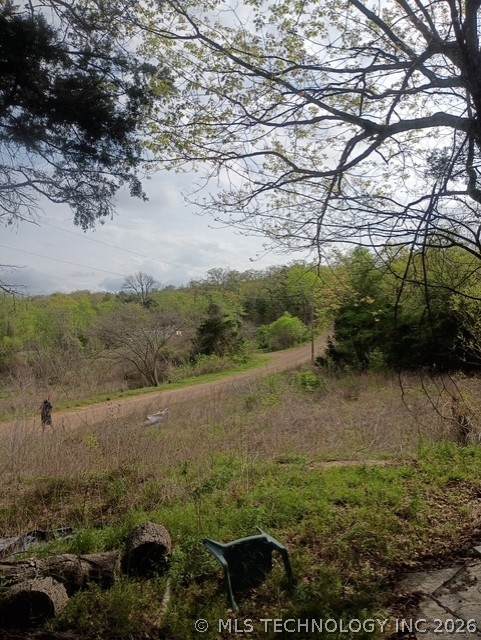 0 Buffalo # 9 - Photo 1