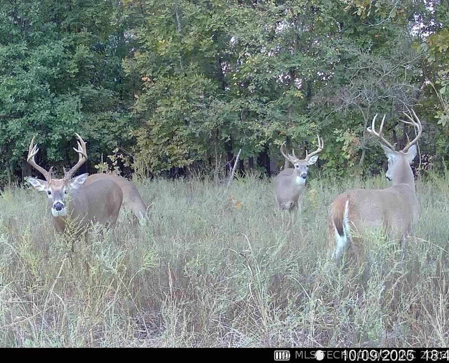https://bt-photos.global.ssl.fastly.net/tulsa/1280_boomver_1_2617291-2.jpg