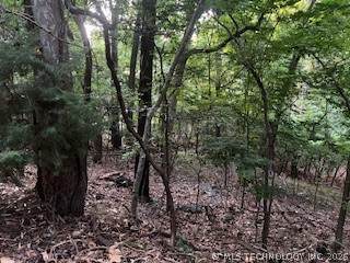 0 Vinita Circle - Photo 1