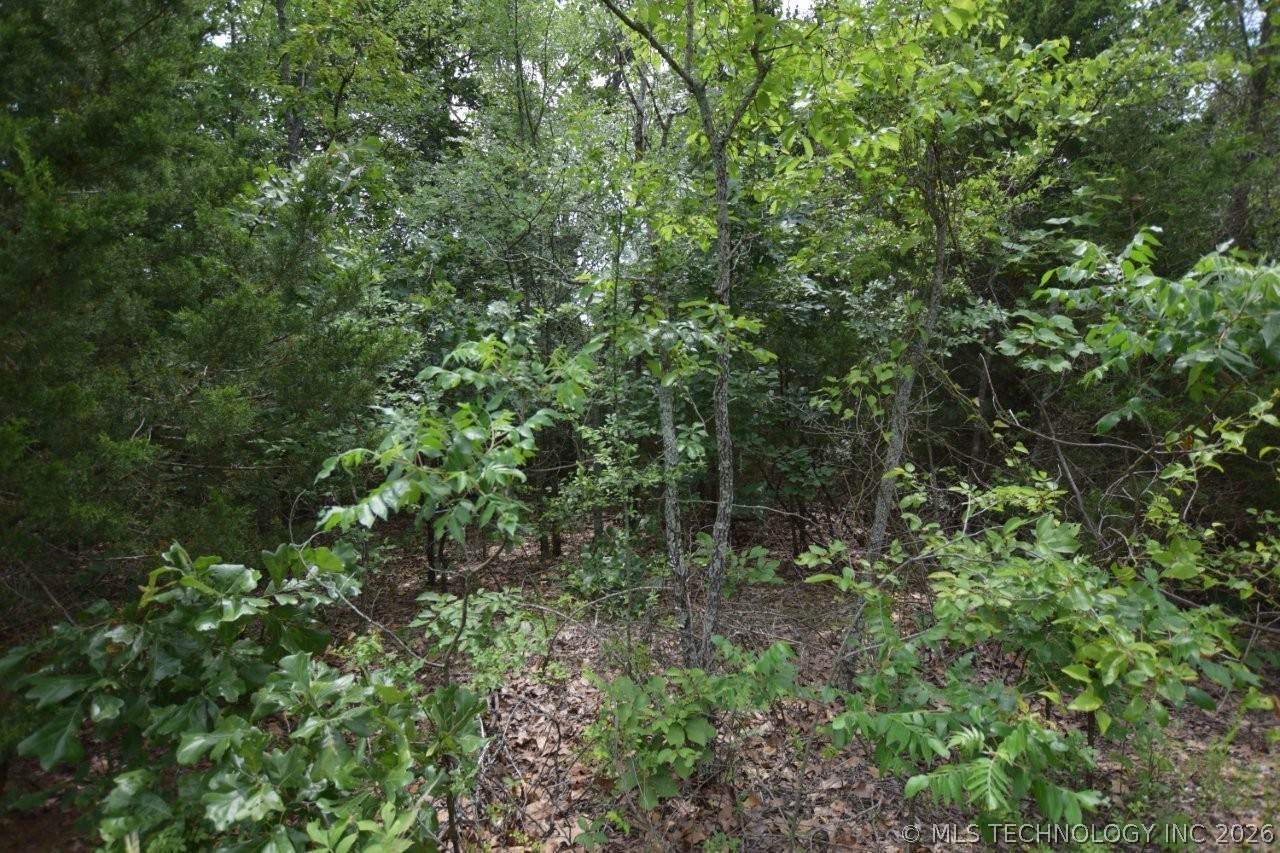 3 984 - Photo 1