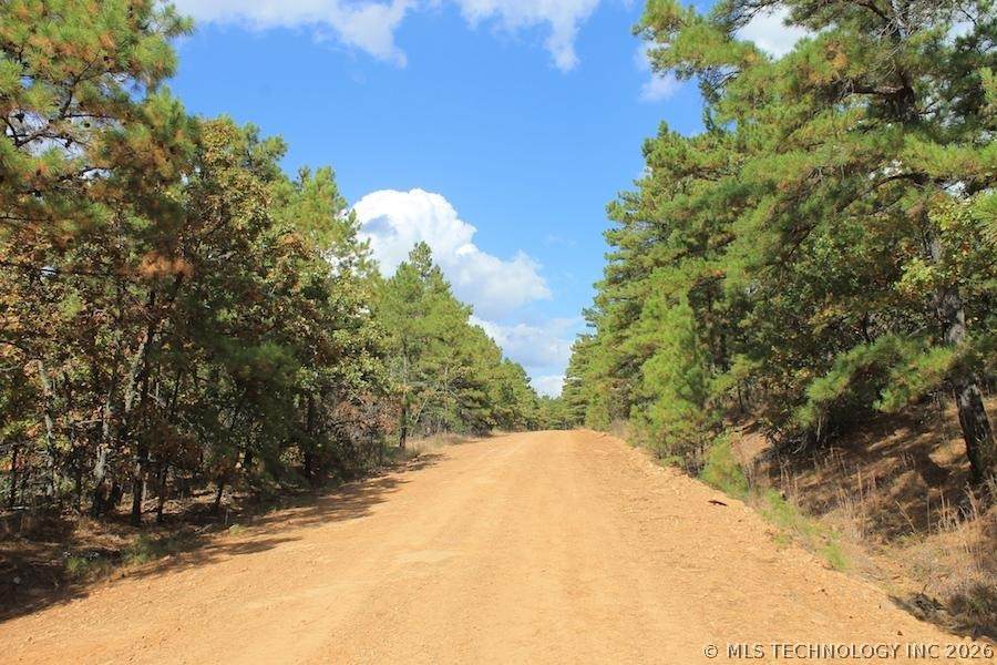  Wagonwheel Road - Photo 1