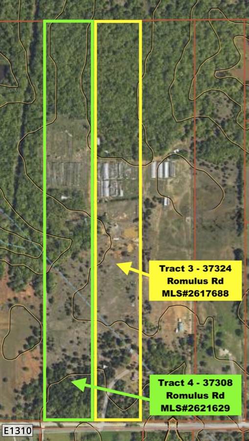 37308 Romulus Road - Photo 1