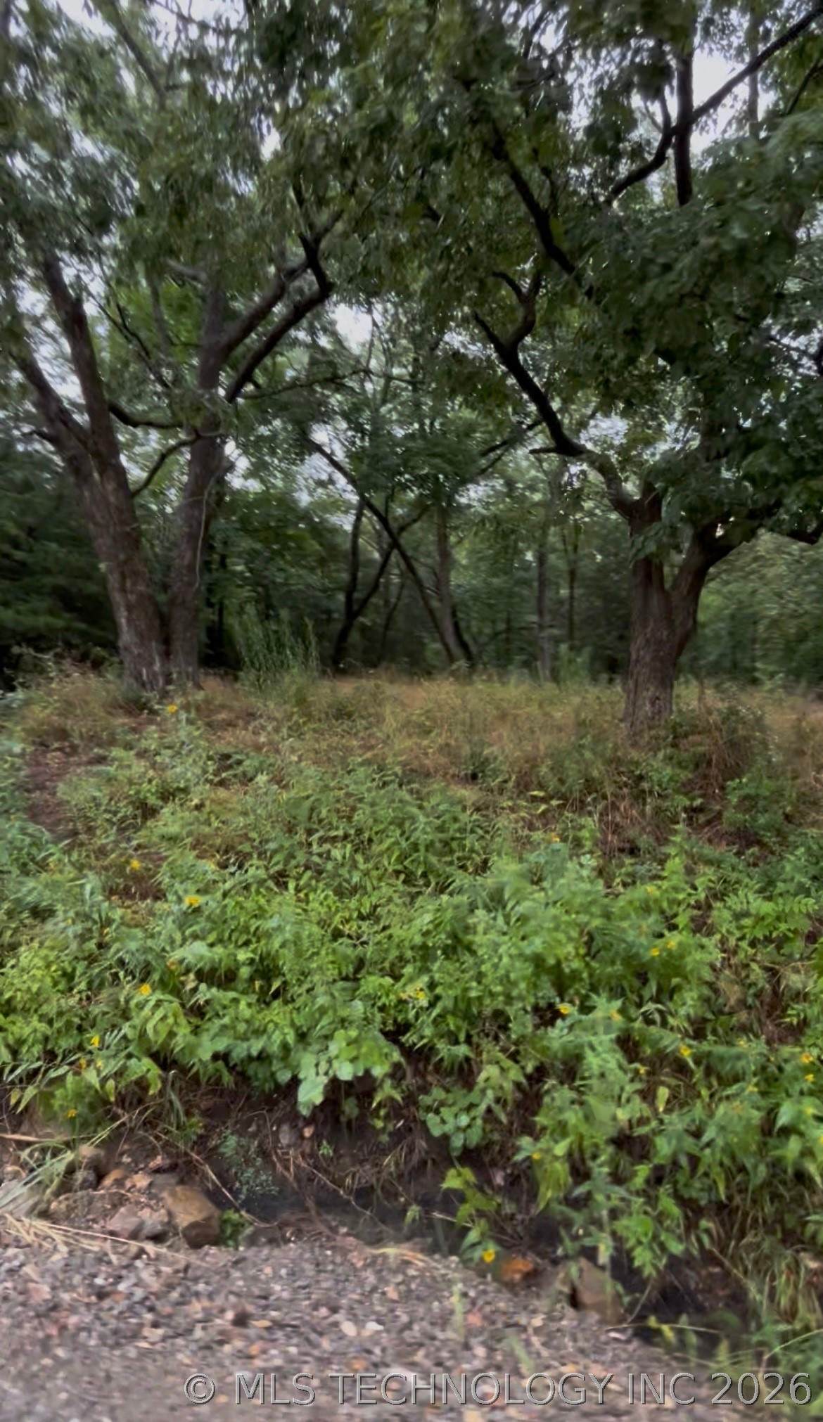 1 Shoreline Drive - Photo 1
