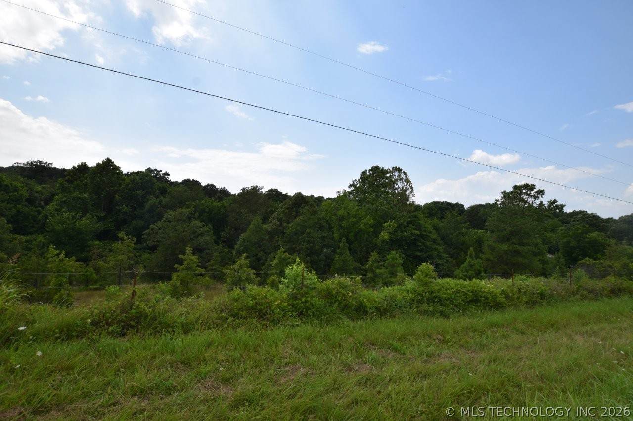 36321 Hwy 20 - Photo 1