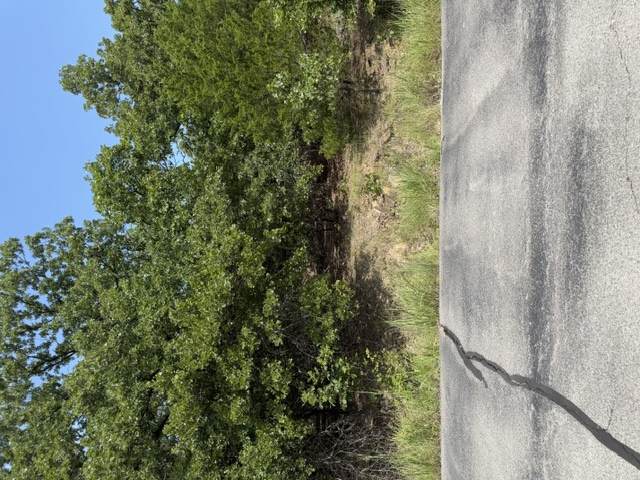 2291 Crosswinds Circle - Photo 1