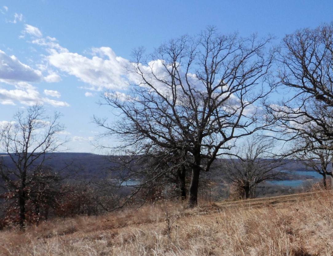 https://bt-photos.global.ssl.fastly.net/tulsa/1280_boomver_1_2626878-2.jpg