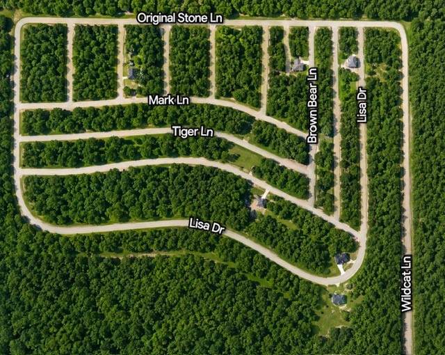 43 Eagle Bluff Road - Photo 1