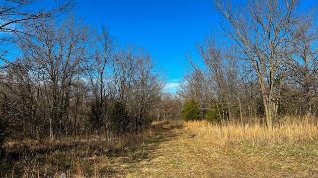 Birch Lane Drive - Photo 1