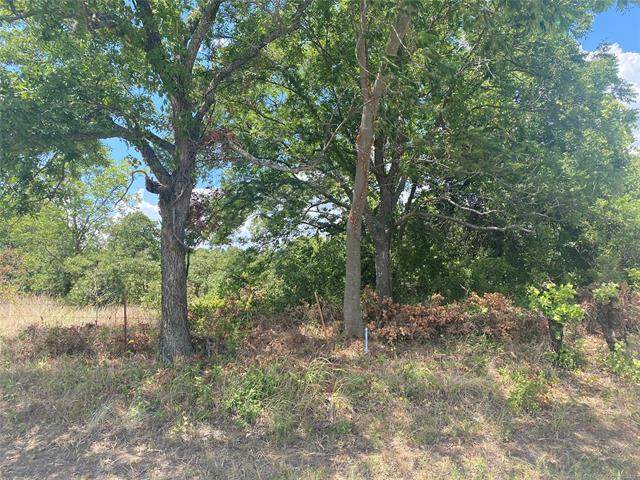 County Road 1740 - Photo 1