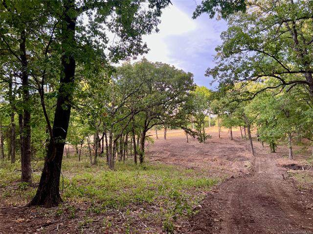 Mahard Road - Photo 1