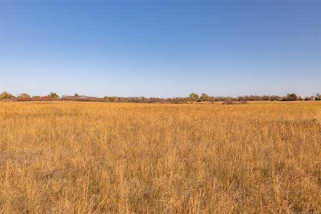 17650 Happy Camp Road - Photo 1