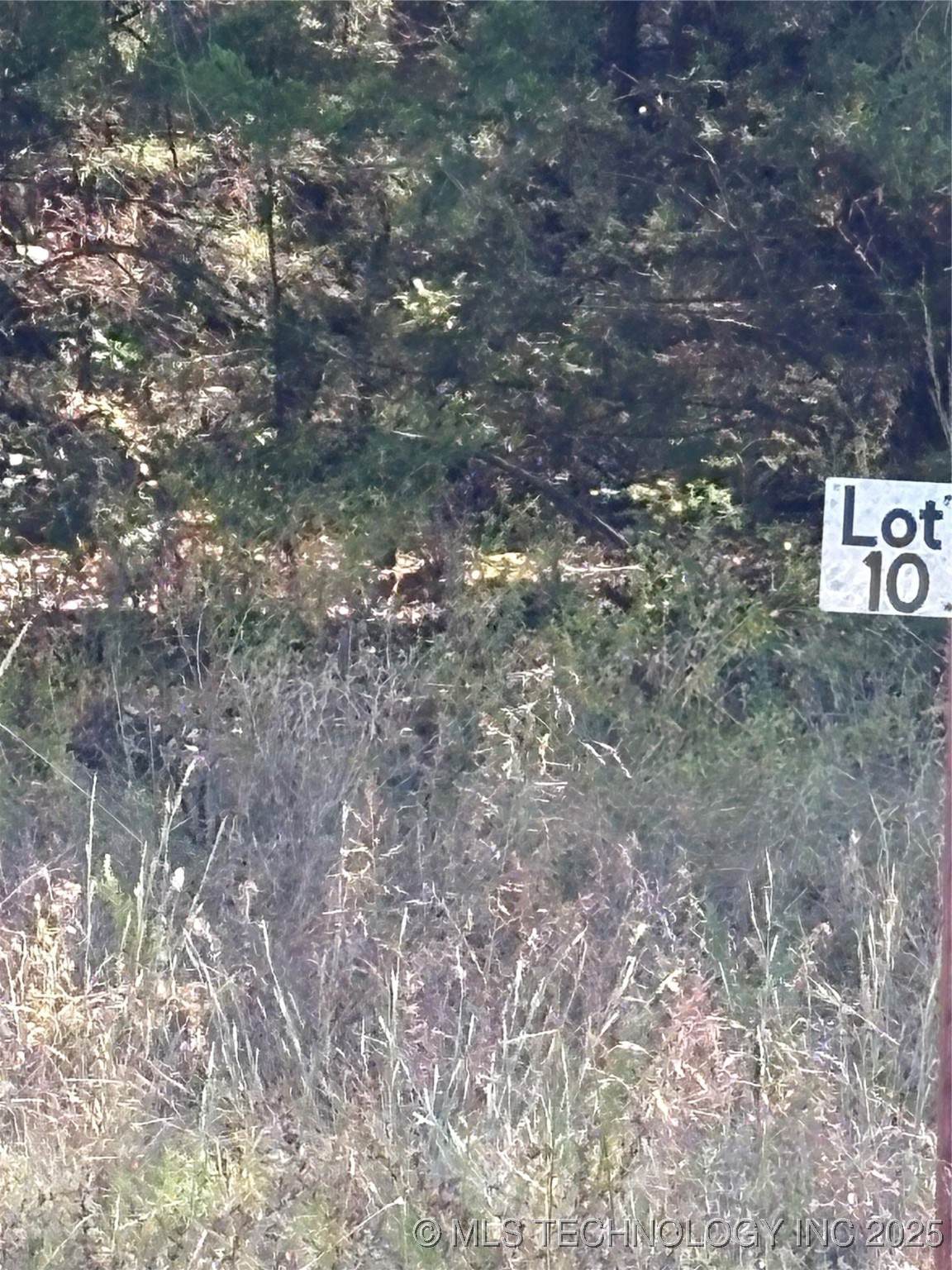 8017 W Jade - Photo 1