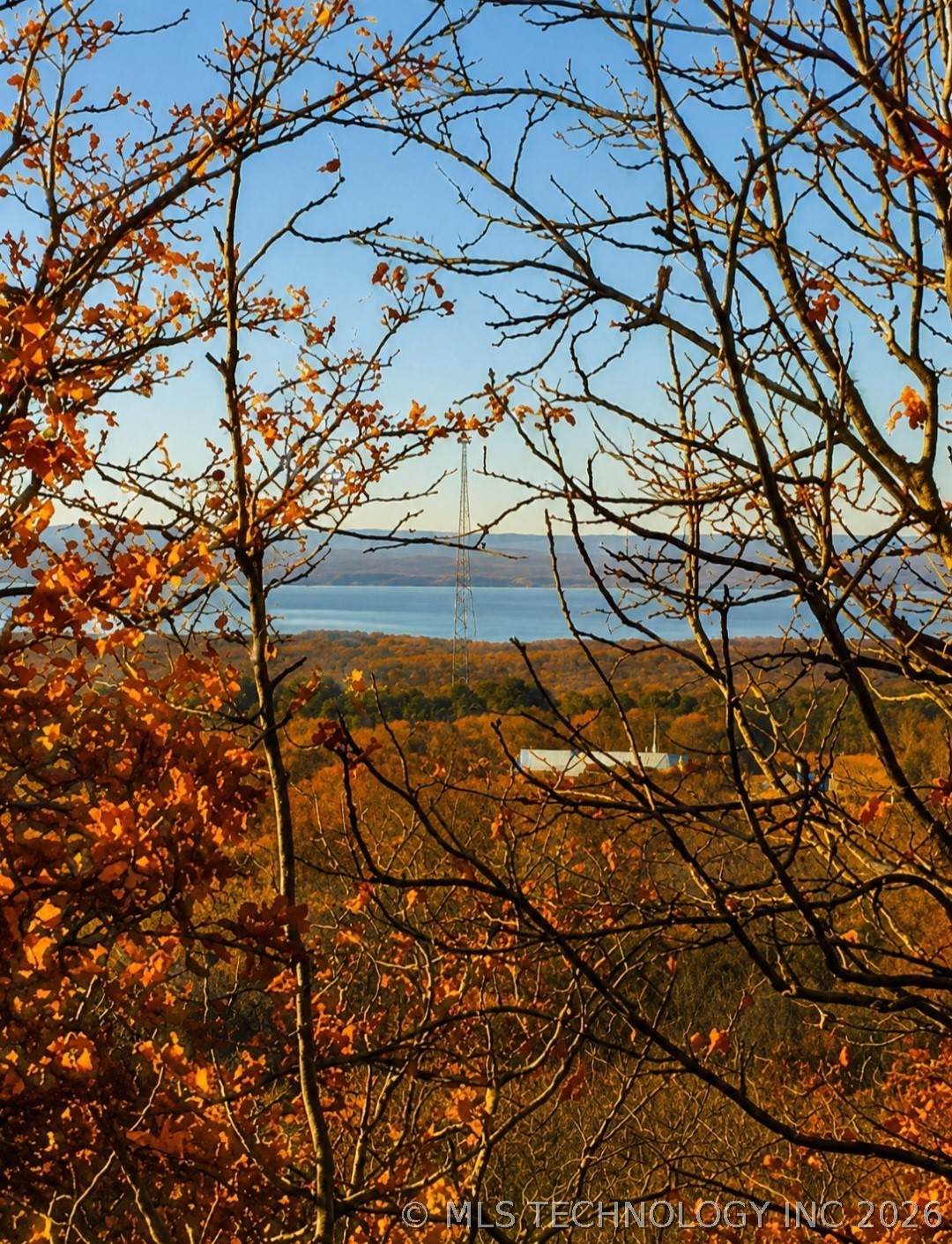  1 Mile Road - Photo 1