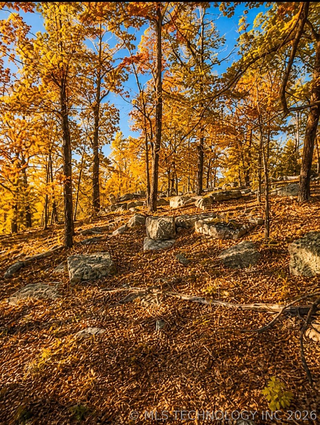 https://bt-photos.global.ssl.fastly.net/tulsa/orig_boomver_2_2618373-2.jpg
