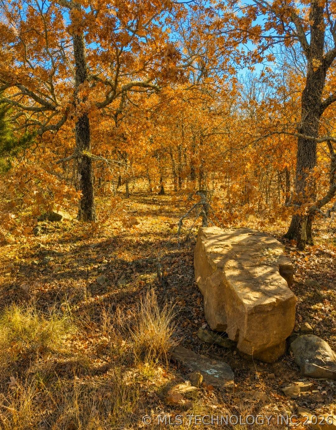 https://bt-photos.global.ssl.fastly.net/tulsa/orig_boomver_2_2618373-2.jpg