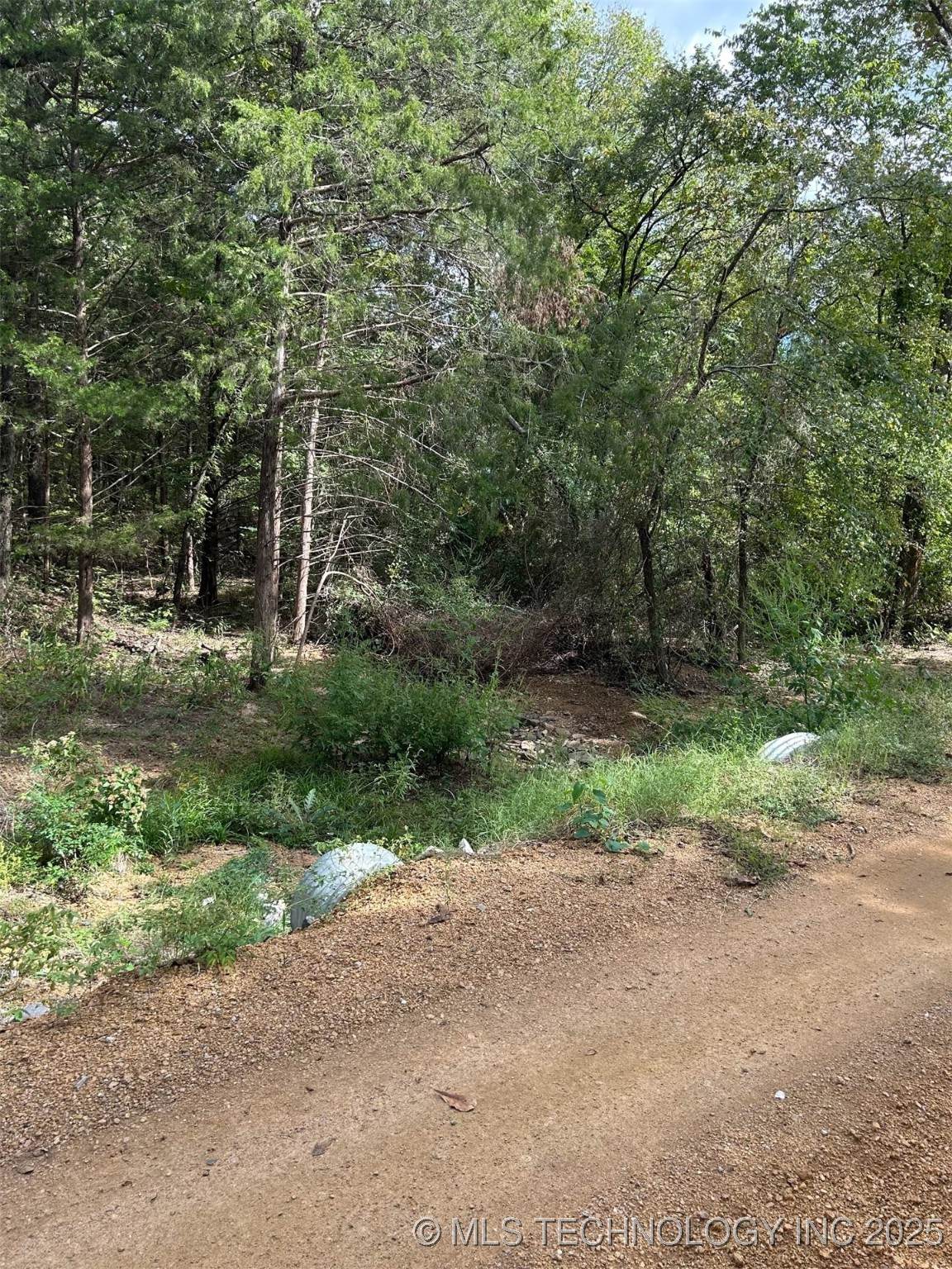 1431 Easy Street - Photo 1