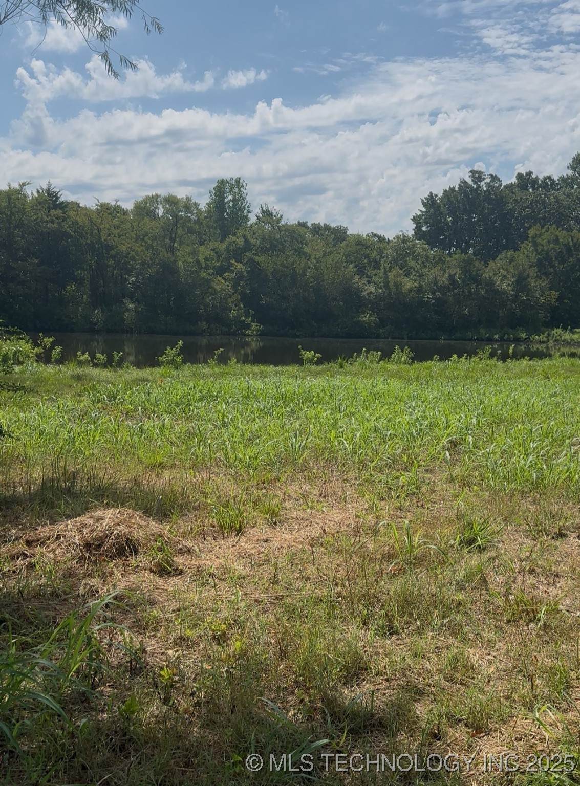 501 Western Avenue - Photo 1