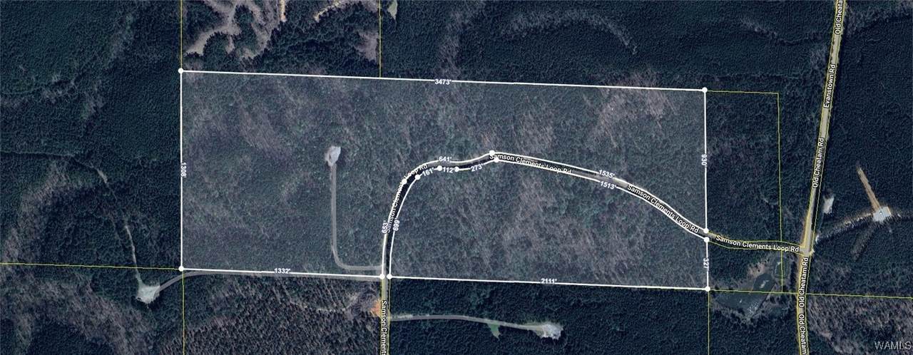 0 Samson Clements Loop - Photo 1