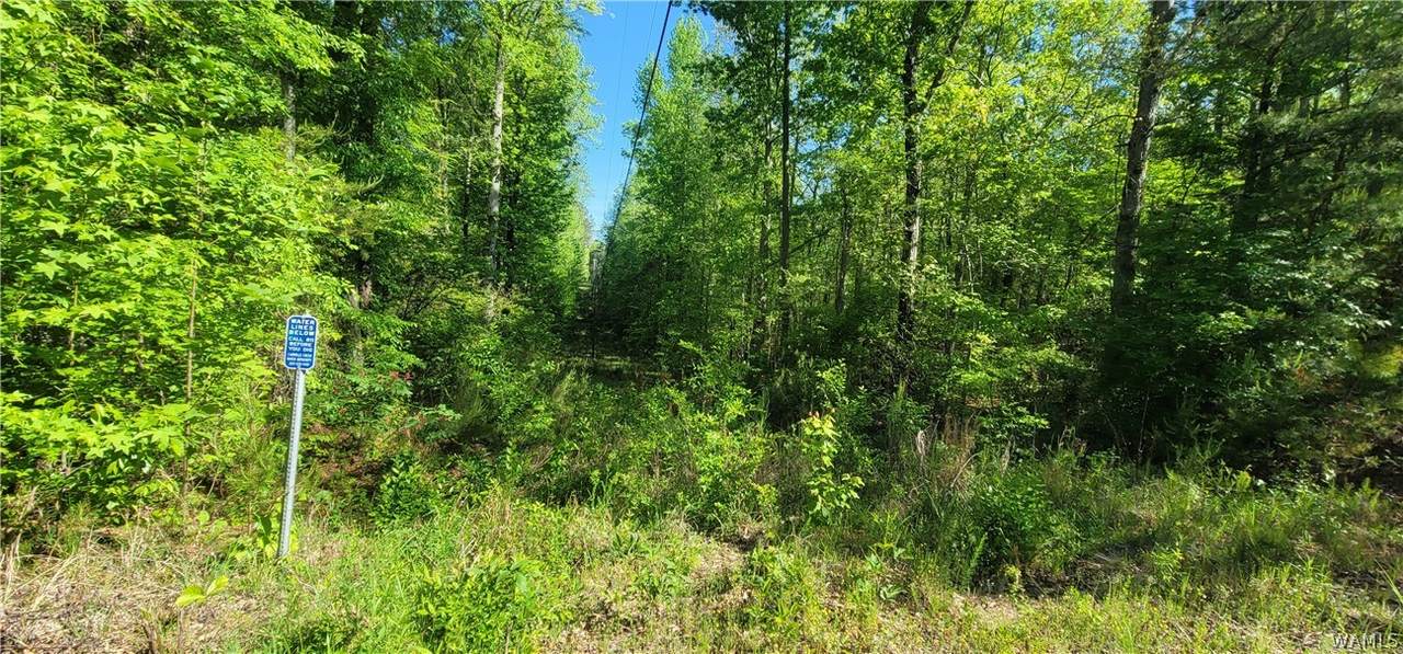 0 Hwy 69 N Highway - Photo 1