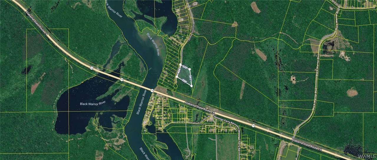 Lot 160 Cypress Point Drive - Photo 1