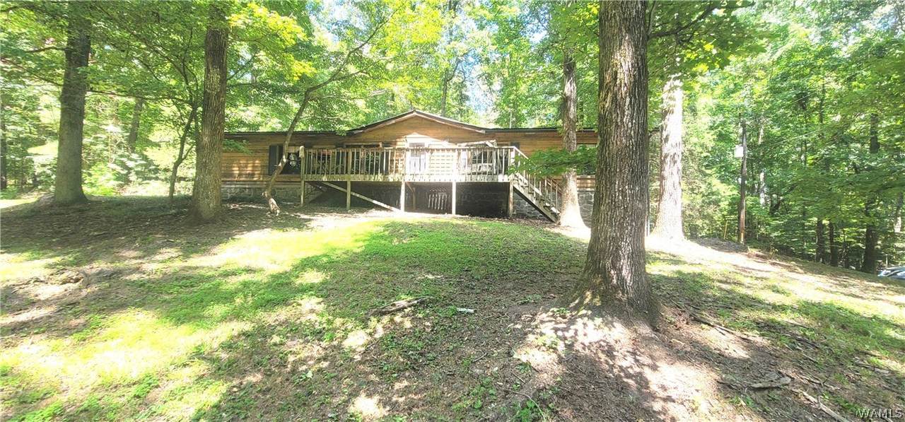 16631 Tierce Creek Road - Photo 1