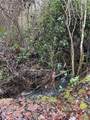000 Bill Lunceford Road - Photo 6