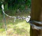 1789 County Road 25 - Photo 25