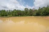 3025 Potato Patch Creek Road - Photo 10