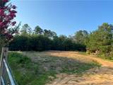 3025 Potato Patch Creek Road - Photo 13