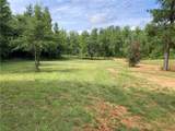 3025 Potato Patch Creek Road - Photo 15