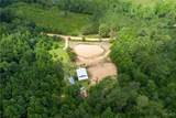 3025 Potato Patch Creek Road - Photo 3