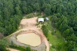 3025 Potato Patch Creek Road - Photo 4
