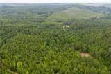 3025 Potato Patch Creek Road - Photo 5