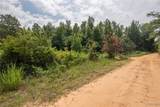 3025 Potato Patch Creek Road - Photo 8