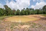 3025 Potato Patch Creek Road - Photo 9