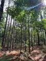 14510 Yellow Creek Fishing Camp Road - Photo 2