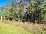 LOT #16 Jennings Ferry Road - Photo 3