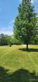 10770 Lower Coaling Rd - Photo 41