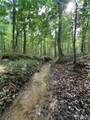 0 County Road 183 - Photo 1