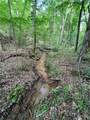 0 County Road 183 - Photo 48
